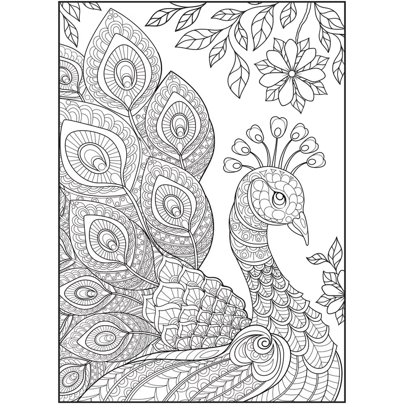 Cra-Z-Art Timeless Creations Feathered Friends Bird Adult Coloring Book, 64 Designs