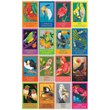 The ROSEART-GIFT SET-BIRDS, BUTTERFLIES AND A CRAB features 16 colorful illustrated cards of various species, each labeled with the animal’s name—perfect as a charming gift.