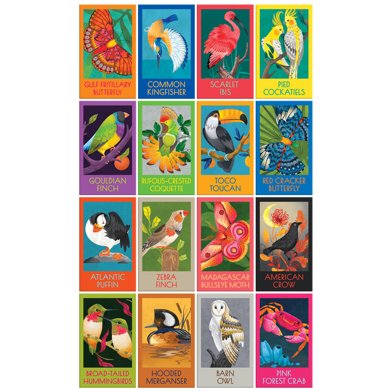 The ROSEART-GIFT SET-BIRDS, BUTTERFLIES AND A CRAB features 16 colorful illustrated cards of various species, each labeled with the animal’s name—perfect as a charming gift.