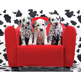 RoseArt - Kodak Premium - Lots of Spots - 100 Piece Jigsaw Puzzle
