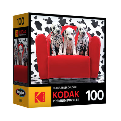 RoseArt - Kodak Premium - Des tas de taches - Puzzle de 100 pièces