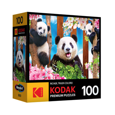 RoseArt - Kodak Premium - Panda Playtime - Puzzle de 100 pièces