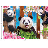 RoseArt - Kodak Premium - Panda Playtime - 100 Piece Jigsaw Puzzle