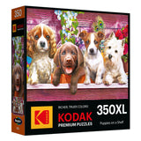 Box of the ROSEART - KODAK PREMIUM 350-piece jigsaw puzzle featuring "Puppies on a Shelf" with puppies on a pink wooden shelf and flowers in the background.