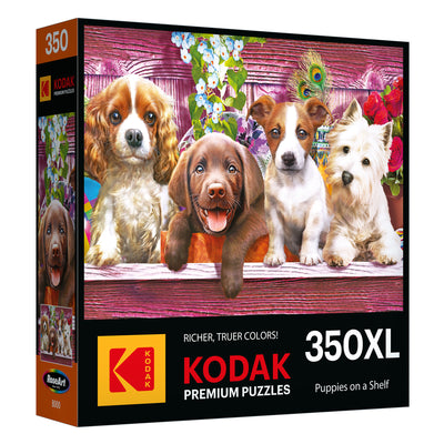 Box of the ROSEART - KODAK PREMIUM 350-piece jigsaw puzzle featuring "Puppies on a Shelf" with puppies on a pink wooden shelf and flowers in the background.