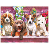 RoseArt Kodak Premium Puppies on a Shelf 350-Piece Jigsaw Puzzle