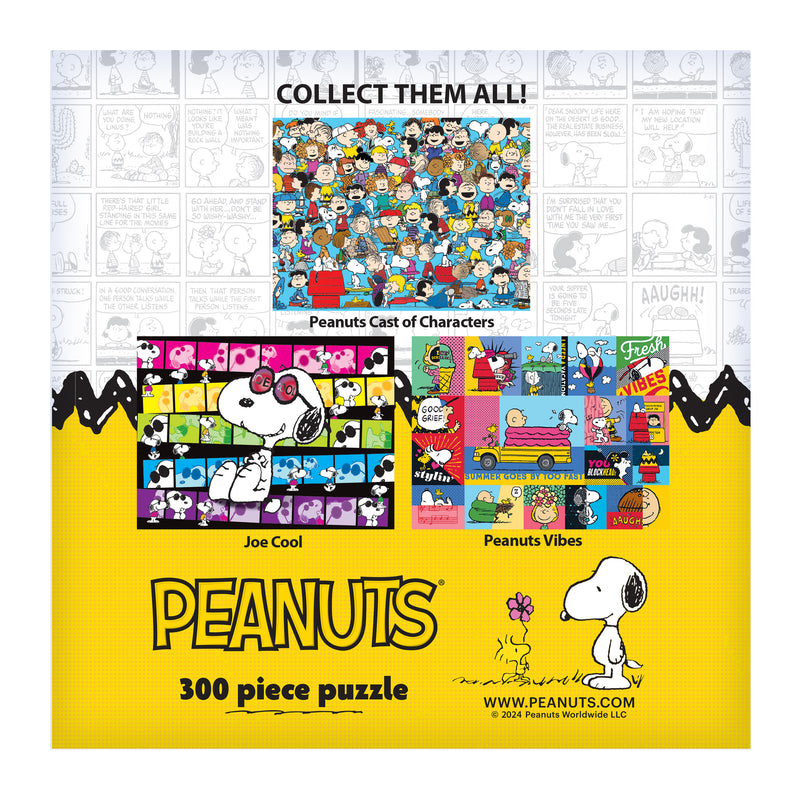 Roseart - Peanuts - Elenco de personajes de Peanuts - Rompecabezas de 300 piezas