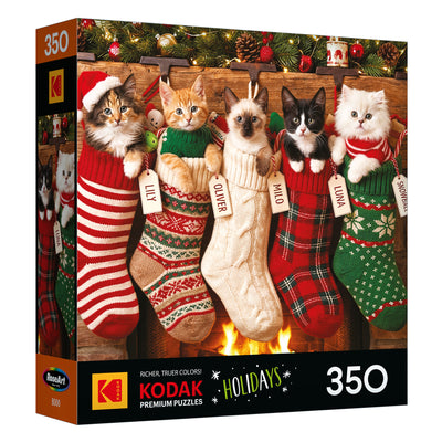 RoseArt-Kodak Premium-La maison du lac-Puzzle de 350 pièces