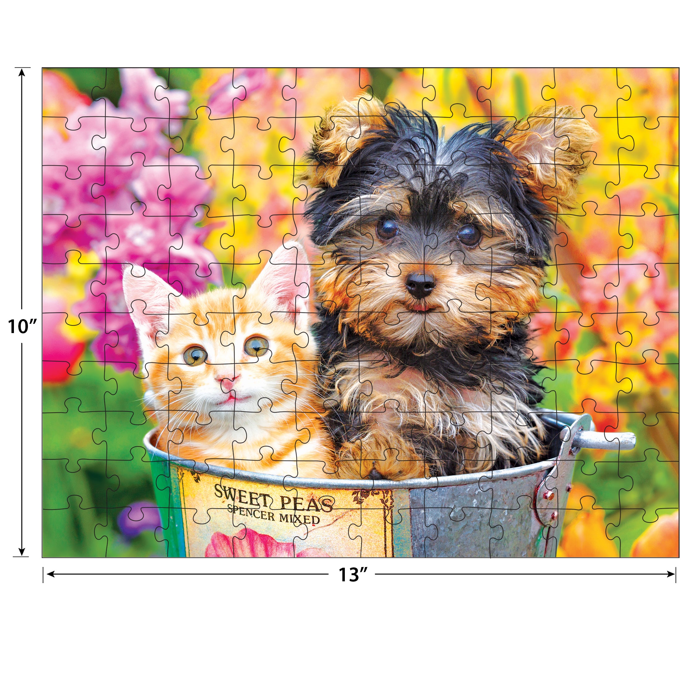RoseArt - Kodak Premium - Bucket Buddies - 100 Piece Jigsaw Puzzle
