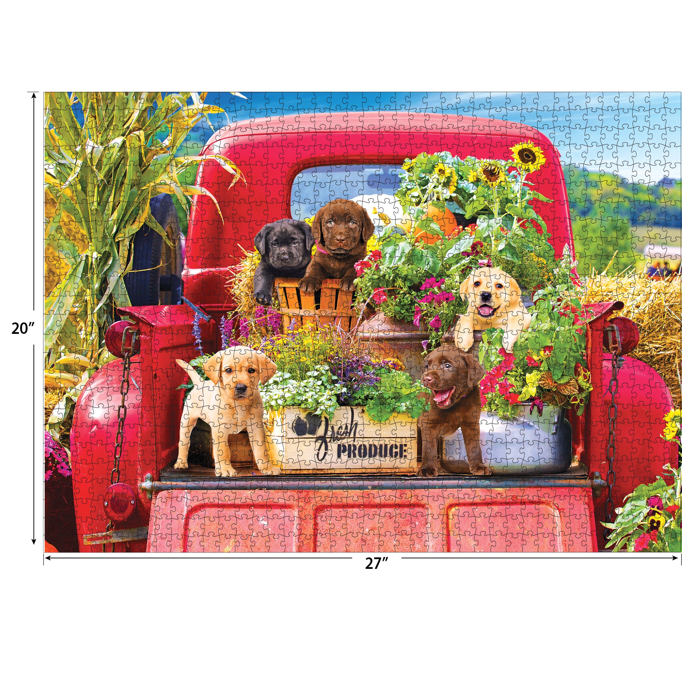 RoseArt - Kodak Premium - Stowaways - 1000 Piece Jigsaw Puzzle