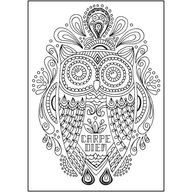 Cra-Z-Art Timeless Creations Feathered Friends Bird Adult Coloring Book, 64 Designs