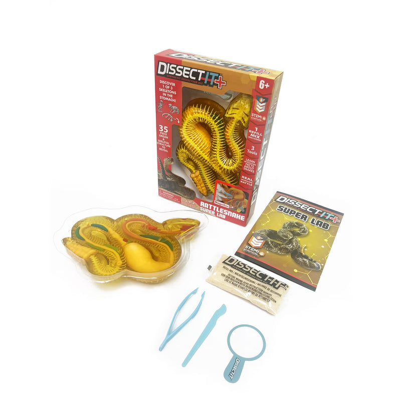 Dissect It Rattlesnake Super Lab Dissection Kit for Kids, Snake Anatomy STEM Science Kit, Ages 6+